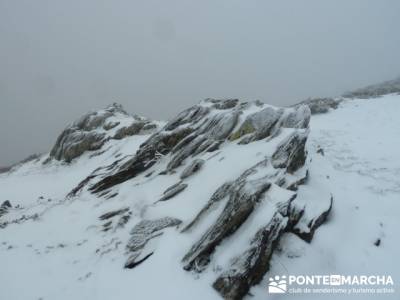 Hayedo de Pedrosa - Parque Natural Sierra Norte de Guadalajara - Hayedo de Tejera Negra